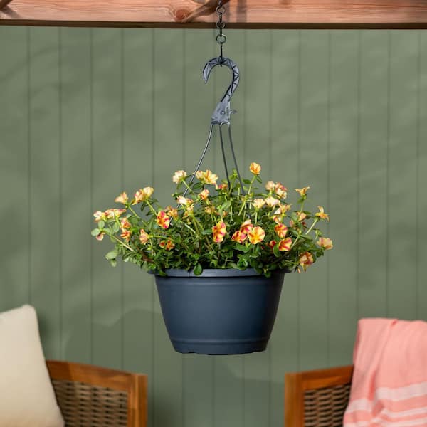 METROLINA GREENHOUSES 1.25 Gal. Portulaca Orange, Red, Yellow