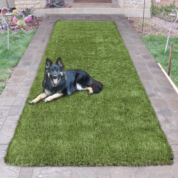 https://images.thdstatic.com/productImages/d228655c-bf6b-46f3-a49c-d7845fb93551/svn/green-ottomanson-artificial-grass-r550-roll-31_600.jpg