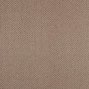 Pretty Penny  - Brindle - Brown 50 oz. Triexta Pattern Installed Carpet