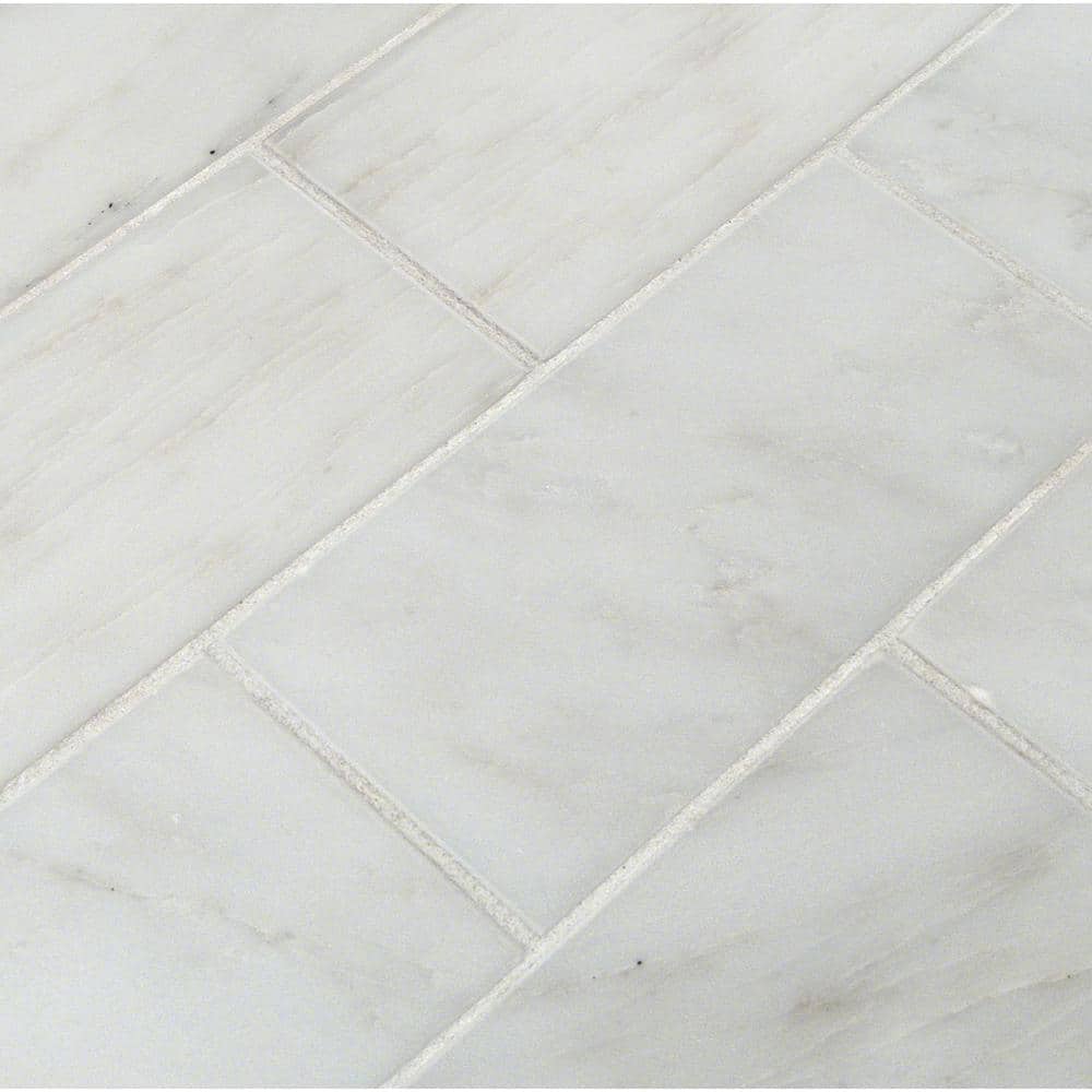 Greecian White 3 in. x 6 in. Marble Floor and Wall Tile Sample (0.12 sq. ft.) price history on PriceWatchPro