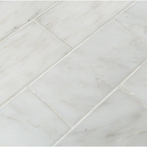Greecian White 3 in. x 6 in. Marble Floor and Wall Tile Sample (0.12 sq. ft.)