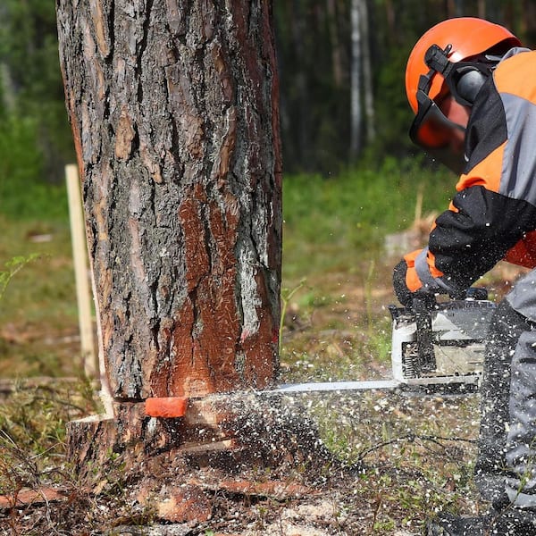 Tree Felling Wedges with Spikes 5.5 in. and 8 in. Plastic