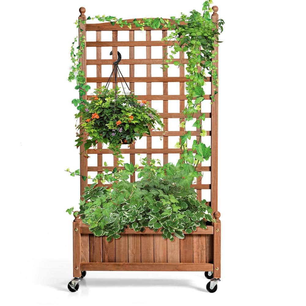 50'' Natural Fir Wood Planter Box with Trellis and Wheels