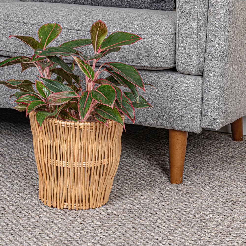 Natural Handwoven Willow Waste Basket with Removable Liner