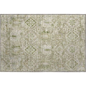 Mayfield Premium Machine Washable Abstract AMF1998 Fern 2 ft. x 3 ft. Accent Rug