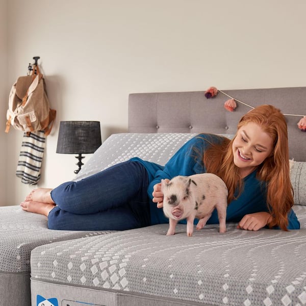 Paterson Full Medium Firm Hybrid 12 in. Mattress