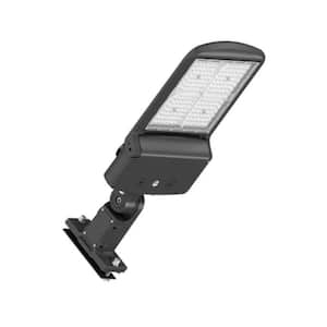 25500 Lumens Black Integrated LED Area Light