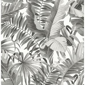Alfresco Black Palm Leaf Black Wallpaper Sample