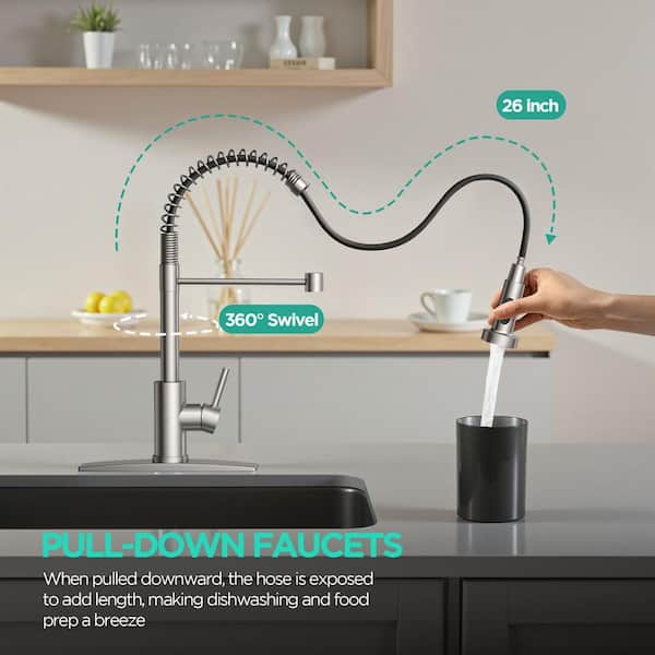 ANZA Single Handle Pull Down Sprayer Kitchen Faucet with Advanced
