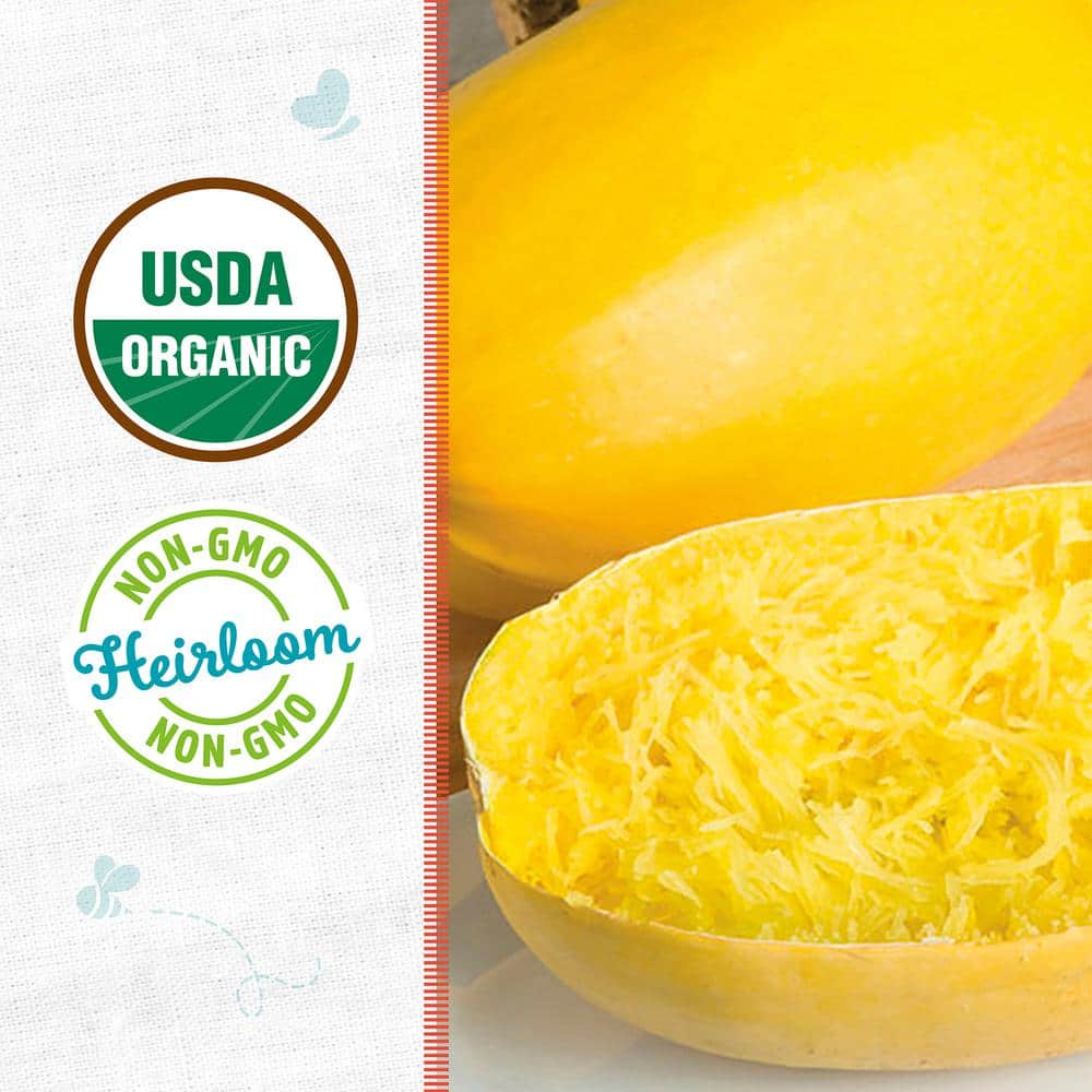 Organic Heirloom Winter Vegetable Spaghetti Squash Seeds
