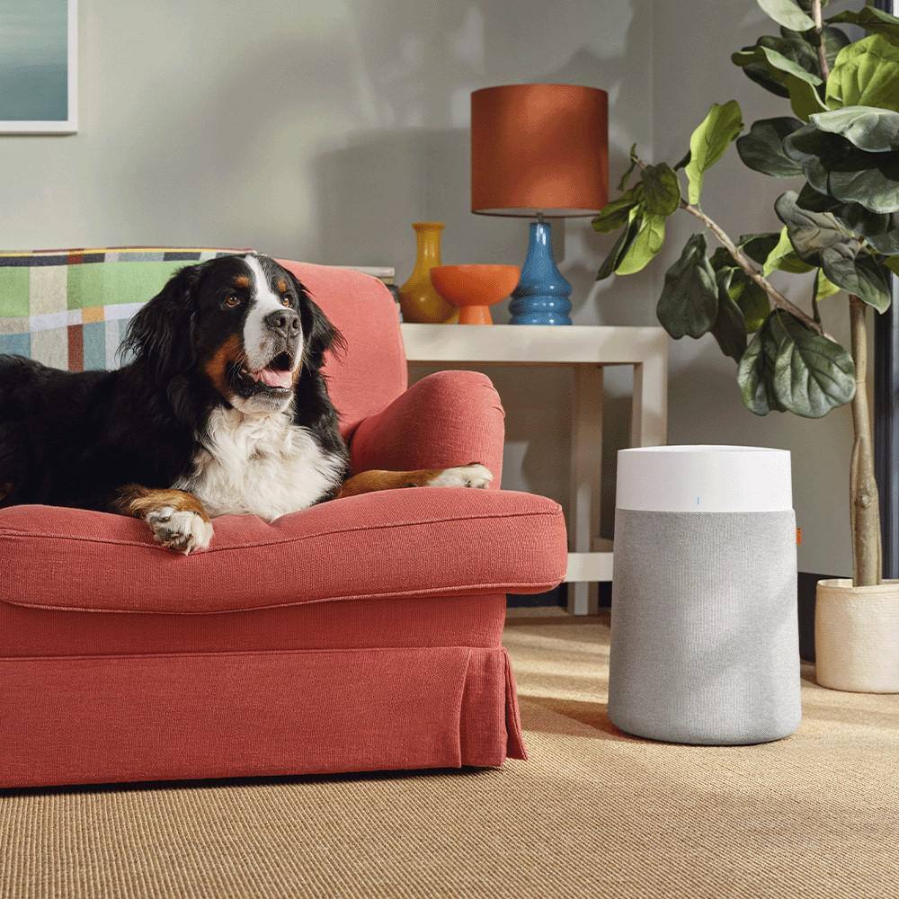 Blue Pure 311i Max HEPA Air Purifier with Smart Control