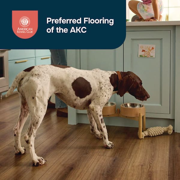 Stafford Oak Arches 20 MIL x 9 in. W x 60 in. L Waterproof Floating Luxury Vinyl Plank Flooring (22.63 sq. ft/case)
