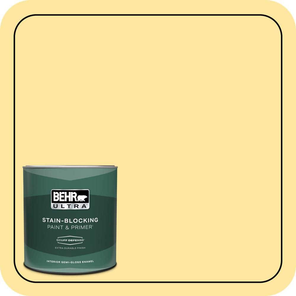 1 qt. #PMD-10 Equator Glow Extra Durable Semi-Gloss Enamel Interior Paint & Primer price history on PriceWatchPro