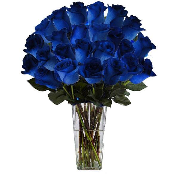 The Ultimate Bouquet Gorgeous Blue Rose Bouquet in Clear Vase (24 Stem) Overnight Shipping Included