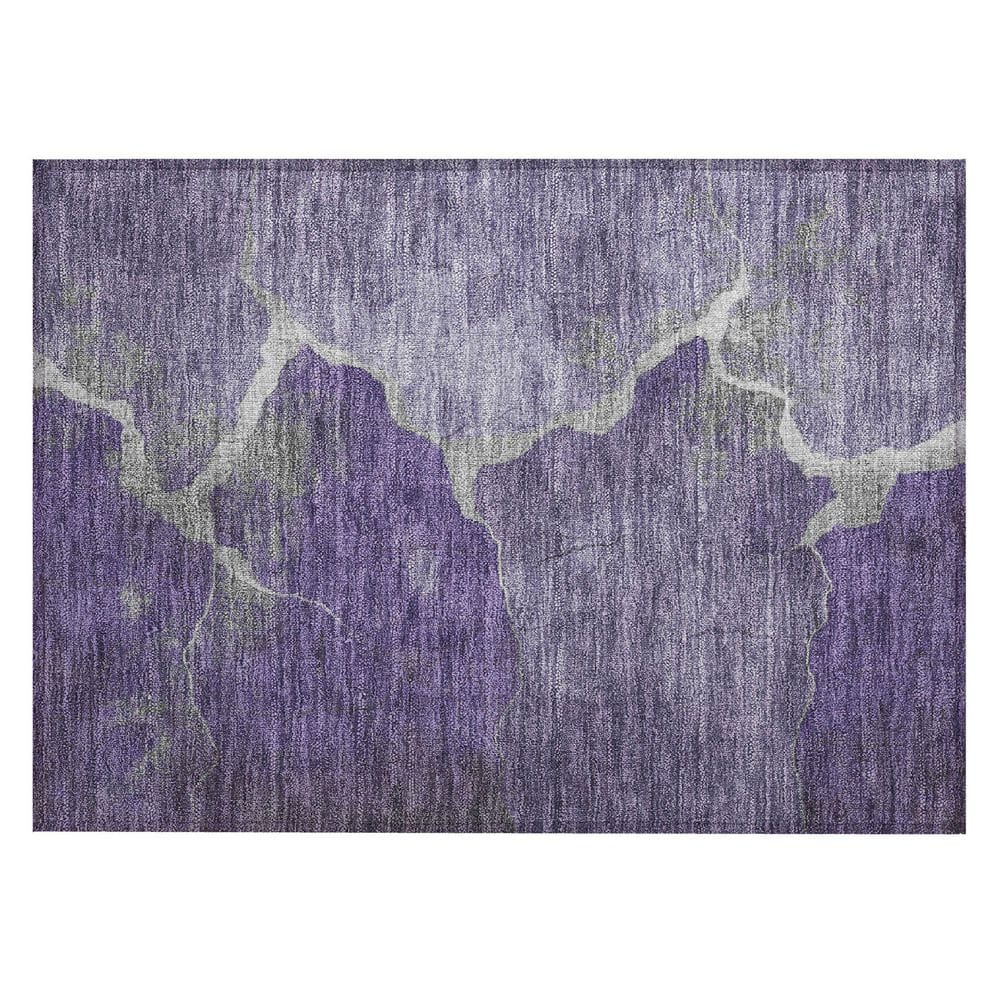 Chantille Machine Washable Indoor/Outdoor Abstract ACN1889 Purple 2 ft. x 3 ft. Accent Rug price history on PriceWatchPro