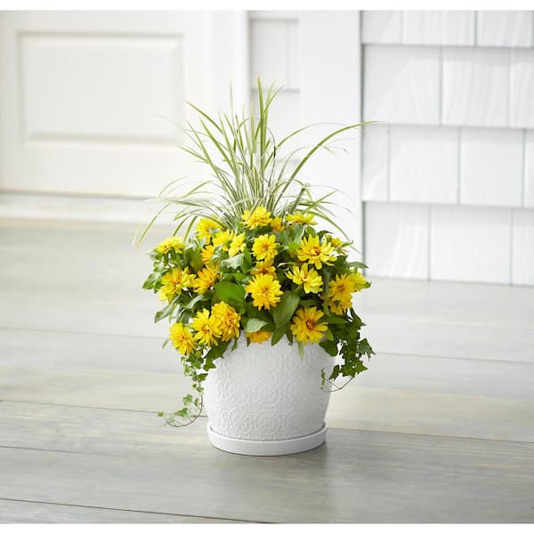 Chrysanthemum Medium White Textured Ceramic Planter with Attached Saucer (10 in. L x 10 in. W x 9.3 in. H)