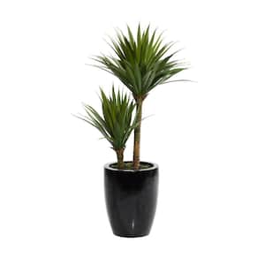 31 in. H Dracaena Artificial Plant with Realistic Leaves and Black Fiberglass Pot