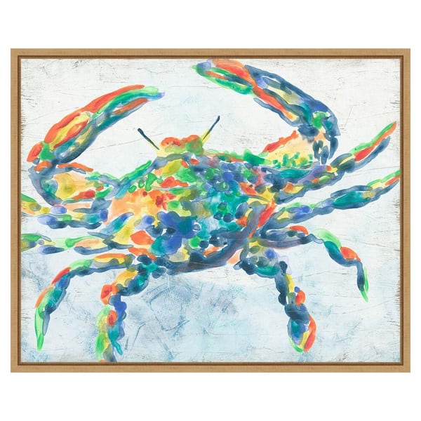 Amanti Art Rainbow Crab II by June Erica Vess 28 in. W x 23 in. H. Canvas Wall Art Print Framed in Brown