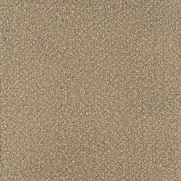 Home Decorators Collection Spicework II  - Granby - Beige 60 oz. SD Polyester Texture Installed Carpet
