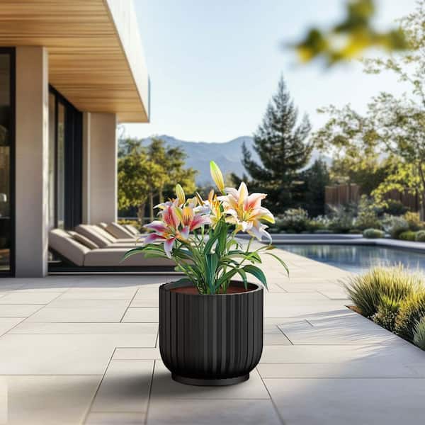 17 in. Large Charcoal Black (Enhanced Interior) Concrete Round Planter / Pot with Drainage Holes