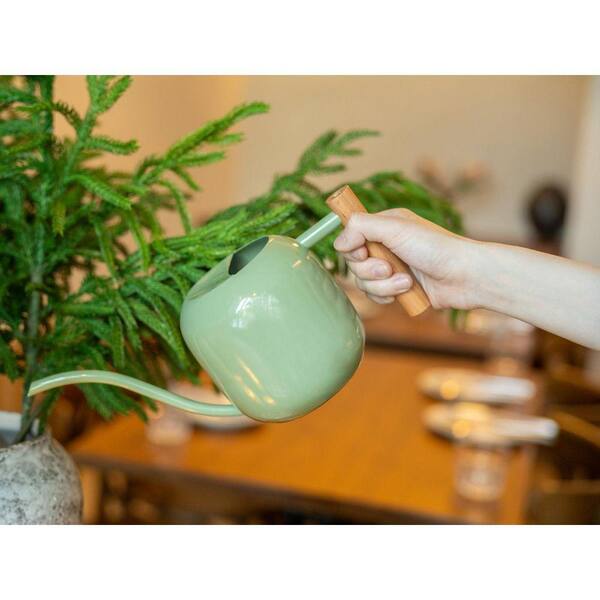 Justincity 0.32 gal. Sage Green Stainless Steel Watering Can with Long Spout and Wooden Handle for Indoor Plants 1 Piece