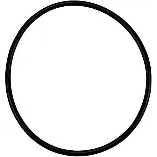 IntelliFlo O-ring replacement part for Select Pool Pumps