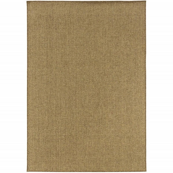 Tan 2 ft. x 4 ft. Loomed Polyester Indoor/Outdoor Area Rug