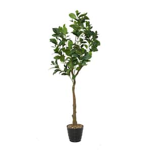 59 in. H Indoor Outdoor Fig Artificial Tree with Realistic Leaves and Black Melamine Pot
