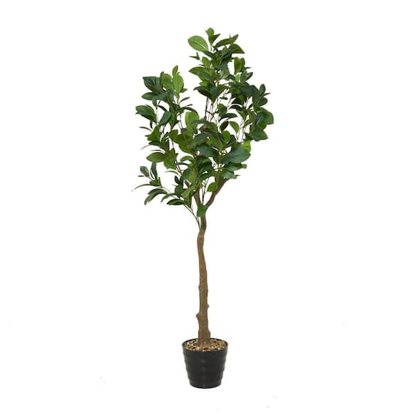 Litton Lane 59 in. H Indoor Outdoor Fig Artificial Tree with Realistic Leaves and Black Melamine Pot