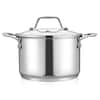 https://images.thdstatic.com/productImages/d263eadd-9638-4496-9772-124d9a03165f/svn/stainless-nutrichef-stock-pots-ncsp3-64_100.jpg