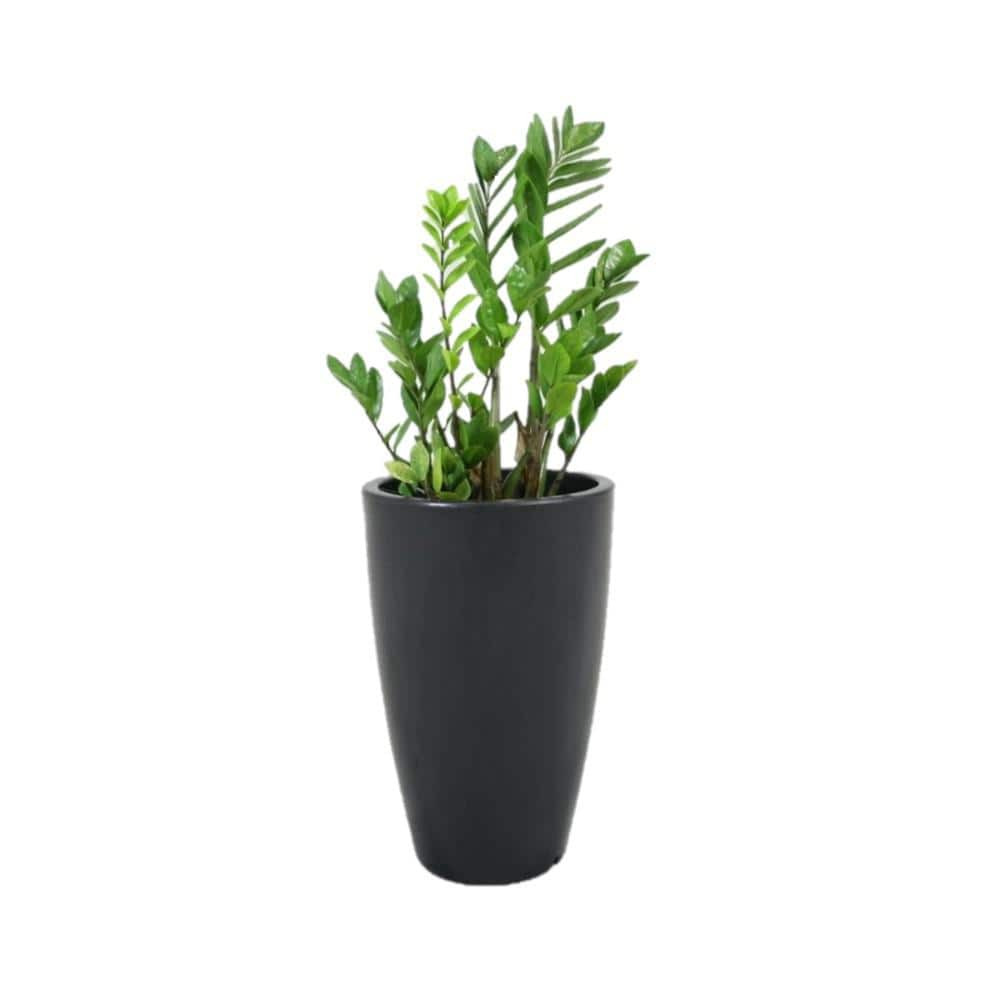 Rain Forest 35 In. Tall Charcoal Verona Plastic Planter R.0200.052.090 