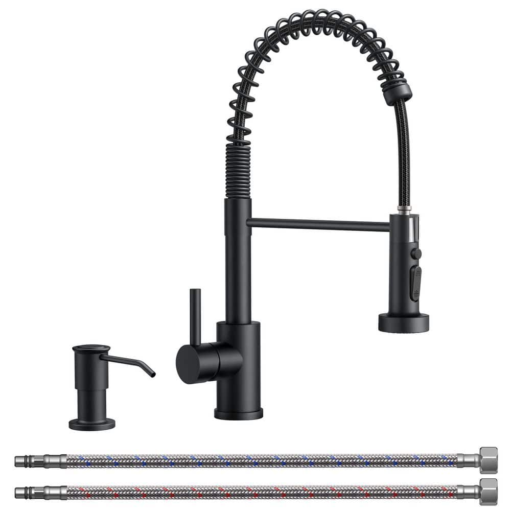 FORIOUS PRO Single-Handle Kitchen Faucet with Pull Down Sprayer