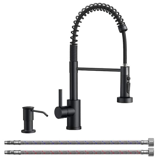 FORIOUS PRO Single-Handle Kitchen Faucet with Pull Down Sprayer
