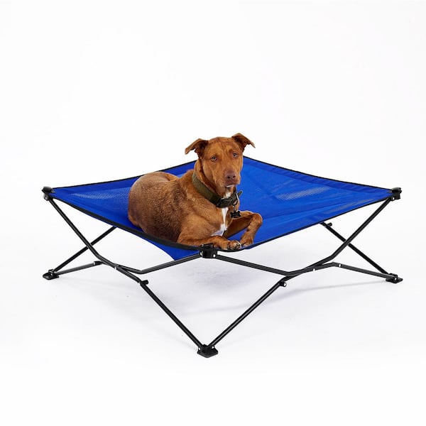 Coolaroo On the Go Elevated Pet Bed, King, Aquatic Blue