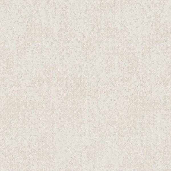 8 in. x 8 in. Pattern Carpet Sample - Elegant Dosinia - Color Halo
