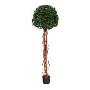 5.5ft. English Ivy Single Ball Artificial Topiary Tree with Natural Trunk UV Resistant (Indoor/Outdoor)