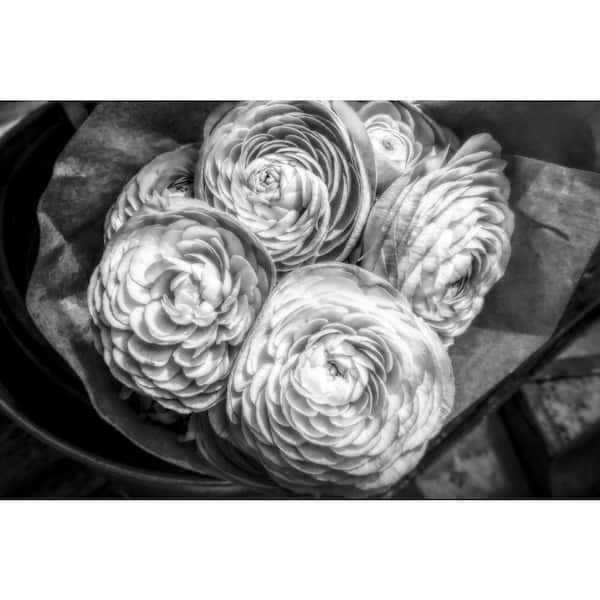 VENICE BEACH Collections Moody European Ranunculus by Grotto Studios 1 Piece Unframed Graphic Print Abstract Poster Art Print 24 in. x 36 in.