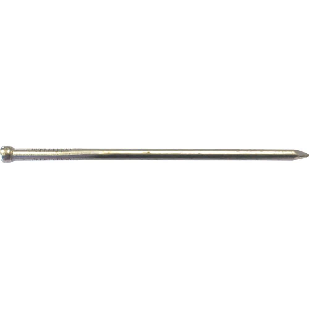 3-1/2 in. x 11-Gauge 16d Hot Galvanized Smooth Shank Finish Nails 1 lbs.