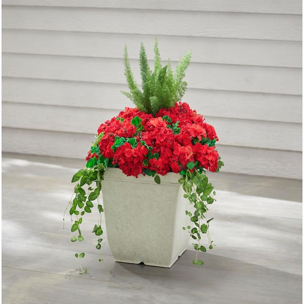 17.7 in. Franklin Large White Resin Square Planter (17.7 in. L x 17.7 in. W x 15.5 in. H) with Drainage Hole