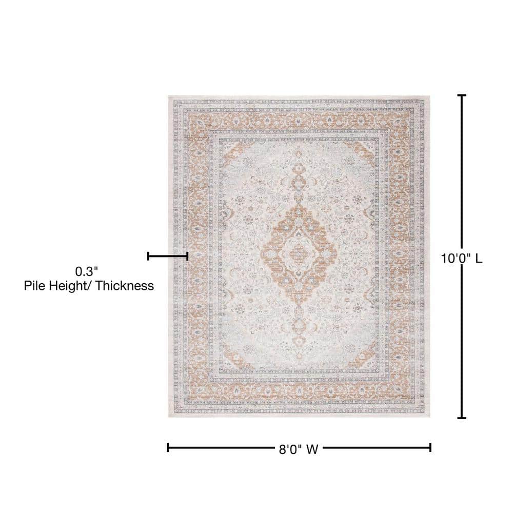 Isabella Cream and Beige Floral Bordered 8' x 10' Area Rug