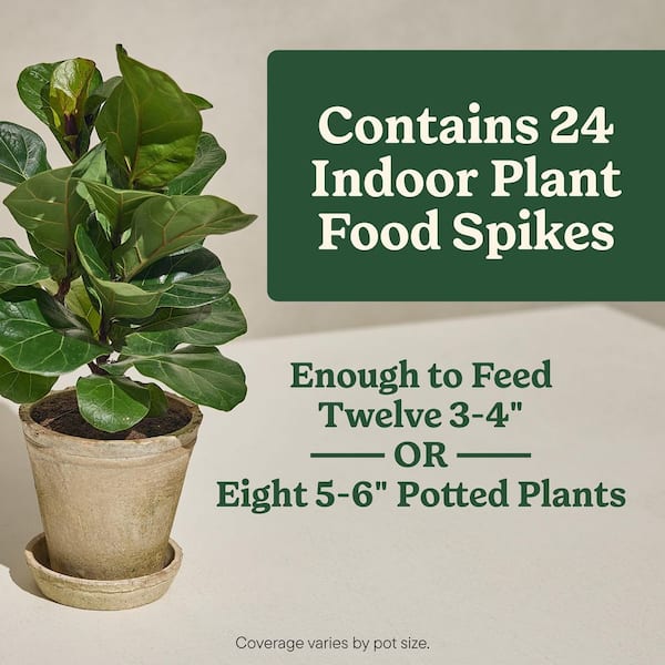 Reviews for Miracle-Gro Indoor Plant Food Spikes for All Plants, For  Houseplants, Flowers, Vegetables, and Herbs (24 Spikes) | Pg 1 - The Home  Depot