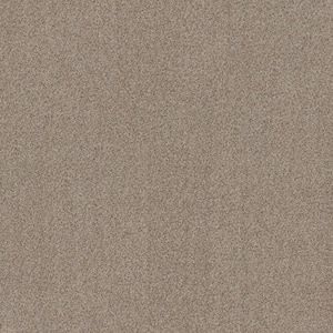 Sea Pines - Color Charm Beige 45 oz. Nylon Texture Installed Carpet