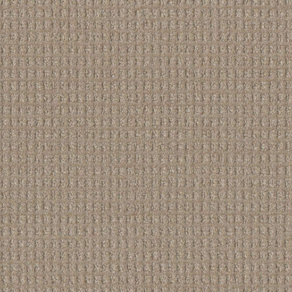 Home Decorators Collection AmaryllisBogota Brown35 oz. SD Polyester