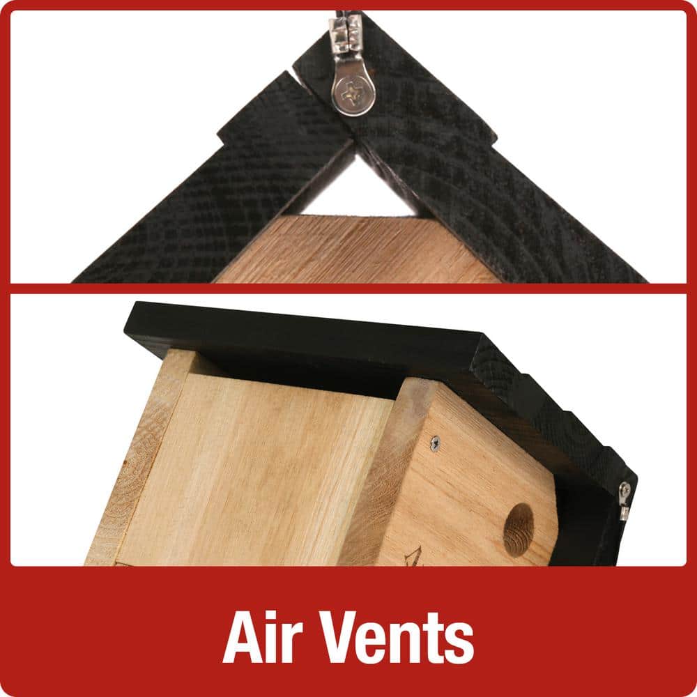 Nature's Way Cedar Hanging Wren Bird House with Black Roof