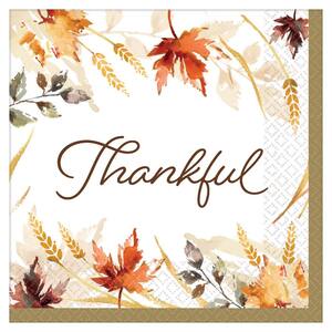 Details about   Amscan Fall Elegance 16 Dinner 3ply Paper Napkins 15 5/8”X15 5/8” Thanksgiving