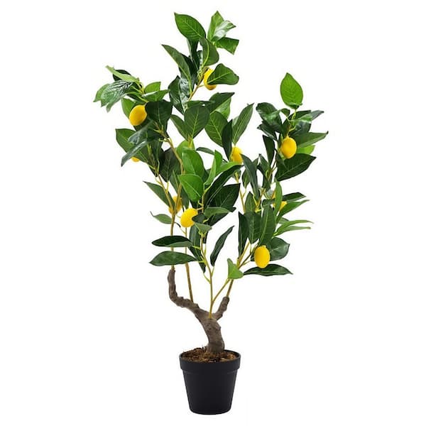 Dracelo Rustic 2.6 ft. Indoor Artificial Lemon Tree 1 Topiary in Black  Plastic Pot 1-Pack Bonsai JY20332 - The Home Depot