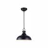 CANARM Sussex Black LED Pendant with Metal Shade LPL103A01BK - The Home ...