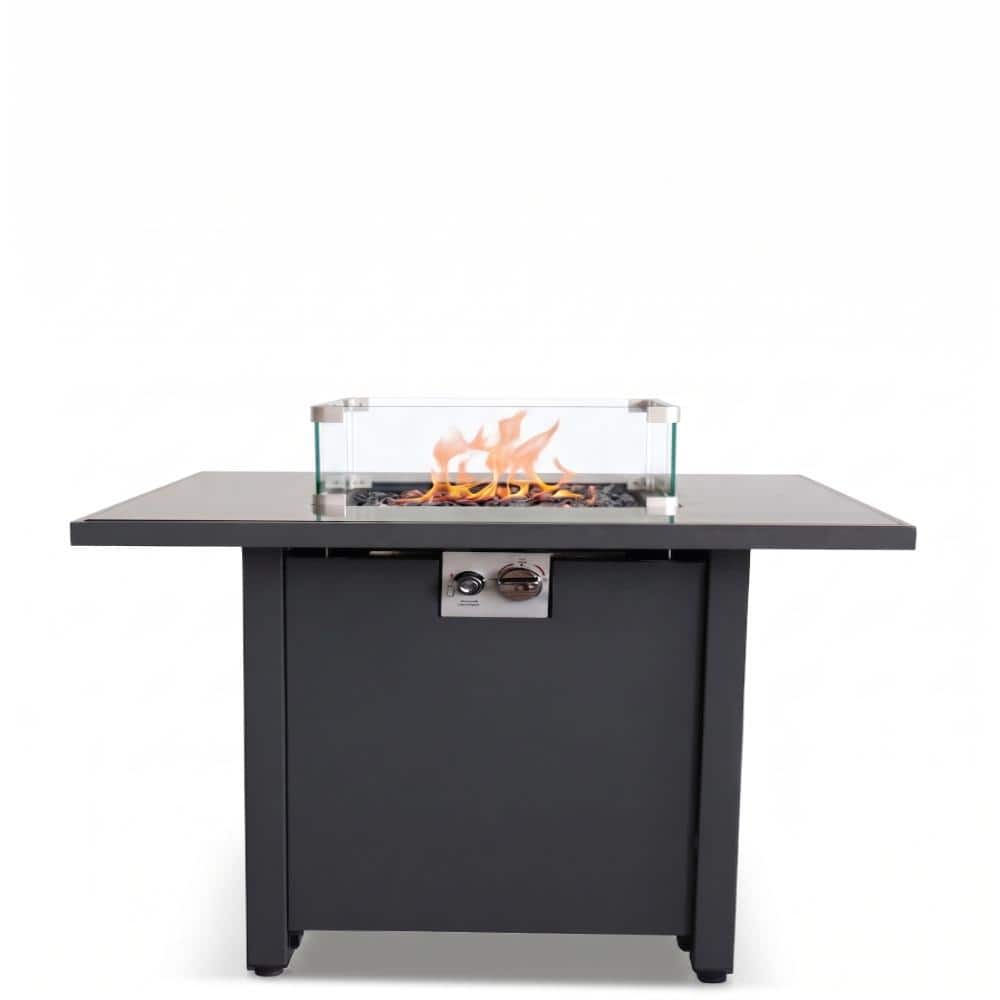 30-inch Steel Outdoor Propane Fire Pit Table with Lid price history on PriceWatchPro