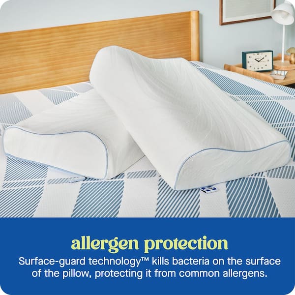 Sealy Dreamlife Contour Memory Foam Standard Pillow F01-00846-CP0