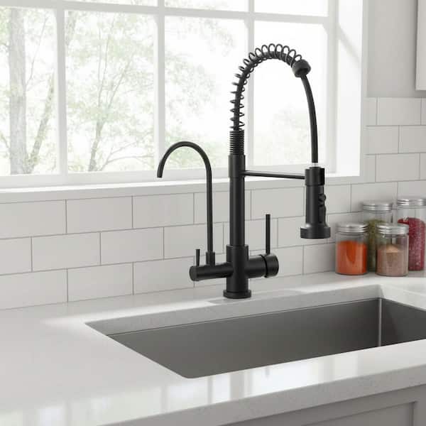 17.5 in. Double Handle Pull Down Spray Kitchen Faucet with Drinking Water Filter, 360° Spout Swivel in Matte Black
